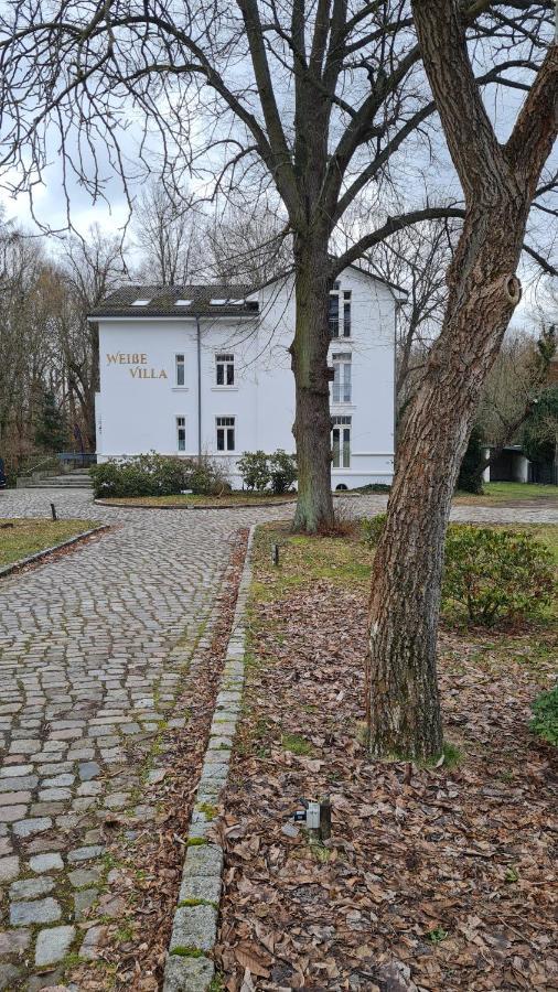 Penthouse In Am Wasser + Parken + Wlan + Netflix +kamin Apartment Wildau (Dahme-Spreewald)
