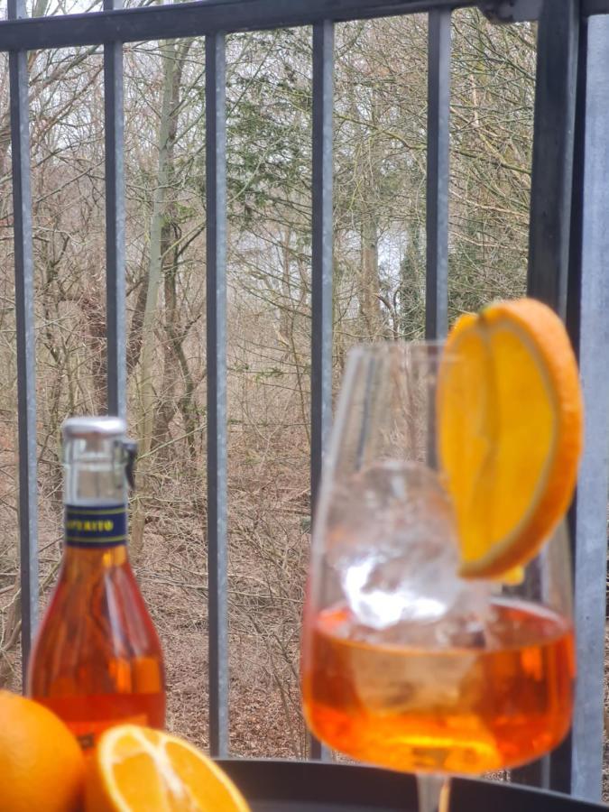 Penthouse In Am Wasser + Parken + Wlan + Netflix +kamin * Wildau (Dahme-Spreewald)